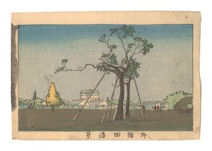 <strong>Yasuji,Tankei</strong><br>True Pictures of Famous Places......