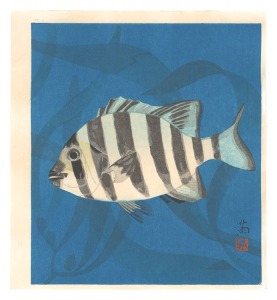 真野満「石鯛（仮題）」