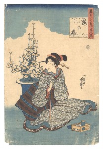 Yoshitsuya / A Collection of Flowers of the Twelve Months / Plum for Spring [花そろひ十二ヶ月の内　梅の春]