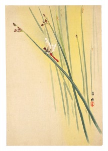 とんぼ（仮題）