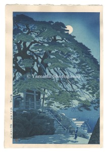 Pine Trees at Yudanaka Hot Spring, Shinshu