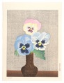 Pansy and Nest