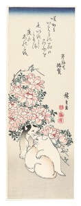 広重初代「薔薇と小犬【復刻版】」