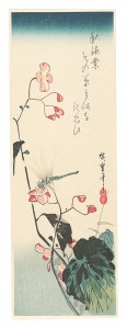 広重初代「秋海棠と蜻蛉【復刻版】」