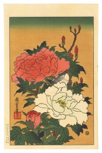 Peonies【Reproduction】