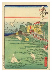Fifty-three Stations of the Fan / Oiso